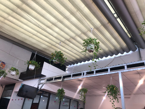 Top 20 cửa hàng banana Quận 12 Hồ Chí Minh 2022