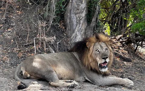 Liwonde National Park Main Entrance Gate image