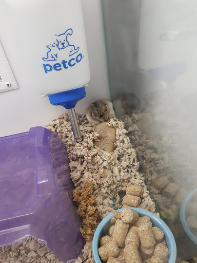 Pet Supply Store «Petco Animal Supplies», reviews and photos, 4751 W 29th St, Greeley, CO 80634, USA