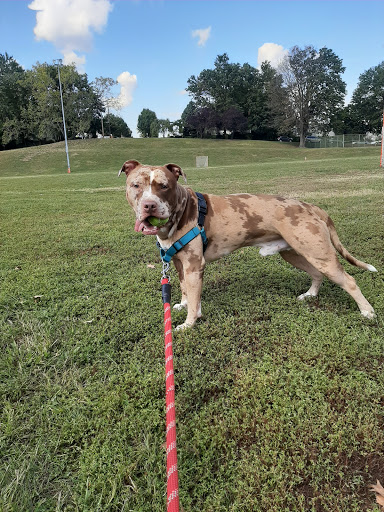 Pet Supply Store «Pet Supplies Plus», reviews and photos, 375 Paterson Ave #105, Wallington, NJ 07057, USA