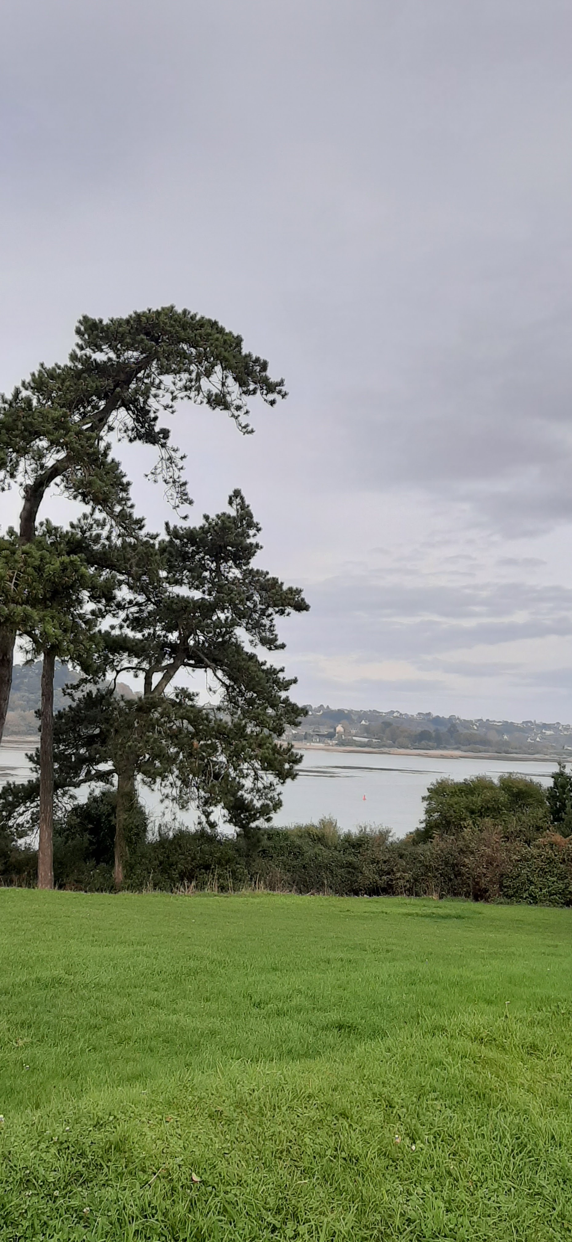 Photo n° 3 de l'avis de Renée.F fait le 19/11/2019 à 15:09