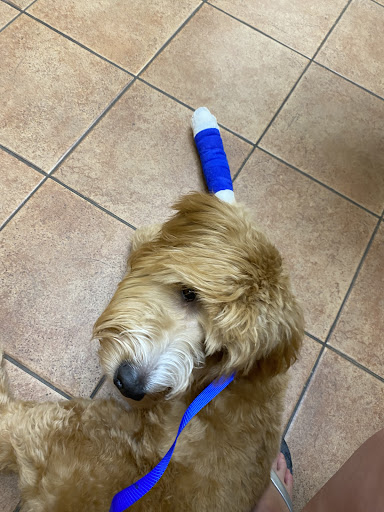 Pet Supply Store «PetSmart», reviews and photos, 10164 Colerain Ave, Cincinnati, OH 45251, USA