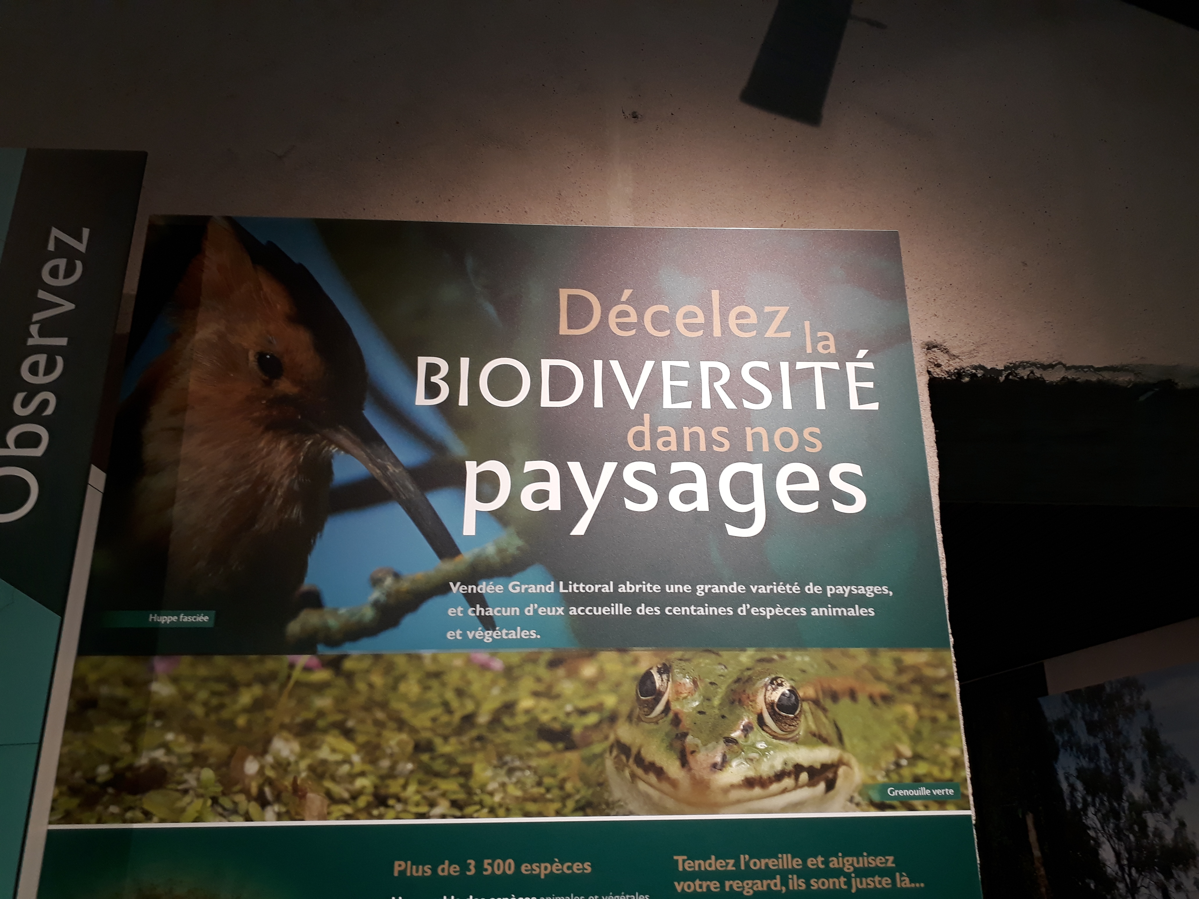 Photo n° 4 de l'avis de Chrystelle.i fait le 18/07/2023 à 11:43