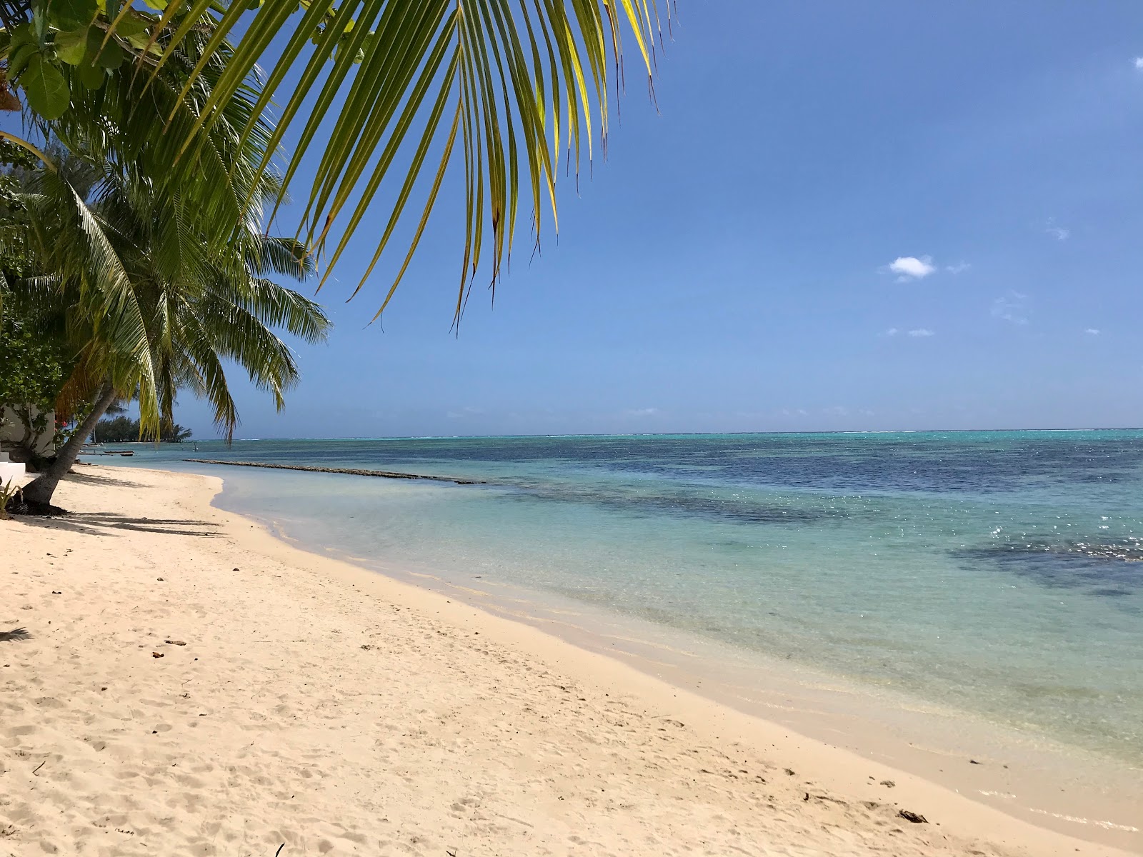 Photo de Hauru Beach avec rivage droit, long
