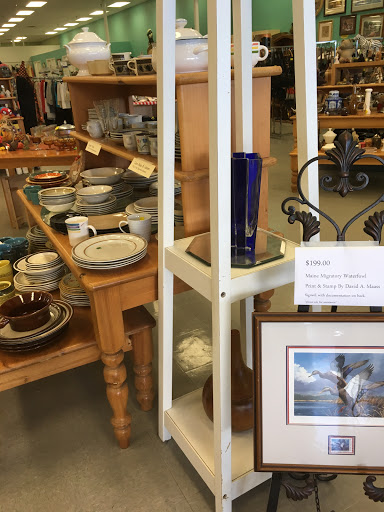Thrift Store «Humane Society Thrift Store», reviews and photos, 4445 20th St, Vero Beach, FL 32966, USA