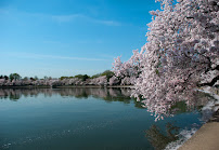 English Accent Tutor - Photo 4 - Car repair in Washington, DC, Washington