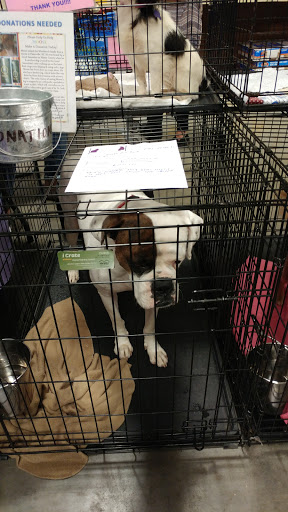 Pet Supply Store «PetSmart», reviews and photos, 1945 Pavilion Way, Lexington, KY 40509, USA