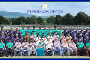 Organic Spirulina, Evergreen Agro Creations, Tamilnadu, India image