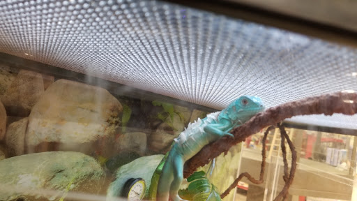 Pet Supply Store «Petco Animal Supplies», reviews and photos, 5938 Roswell Rd NE, Sandy Springs, GA 30328, USA