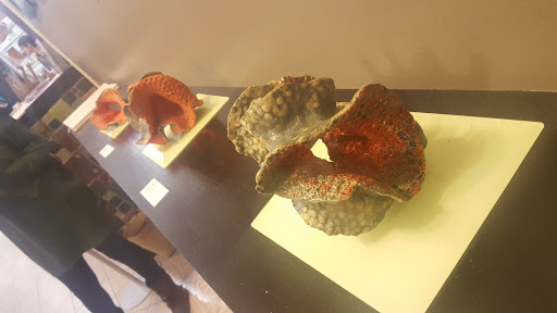 Art Center «LibertyTown Arts Workshop», reviews and photos, 916 Liberty St, Fredericksburg, VA 22401, USA