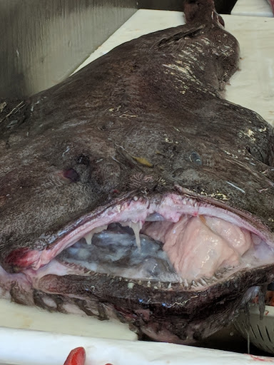 Seafood Market «New Deal Fish Market», reviews and photos, 622 Cambridge St, Cambridge, MA 02141, USA