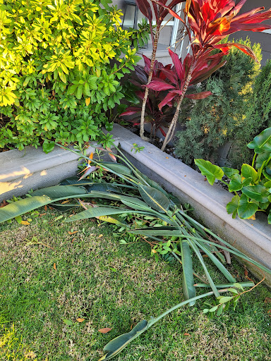 Drain Right Services image