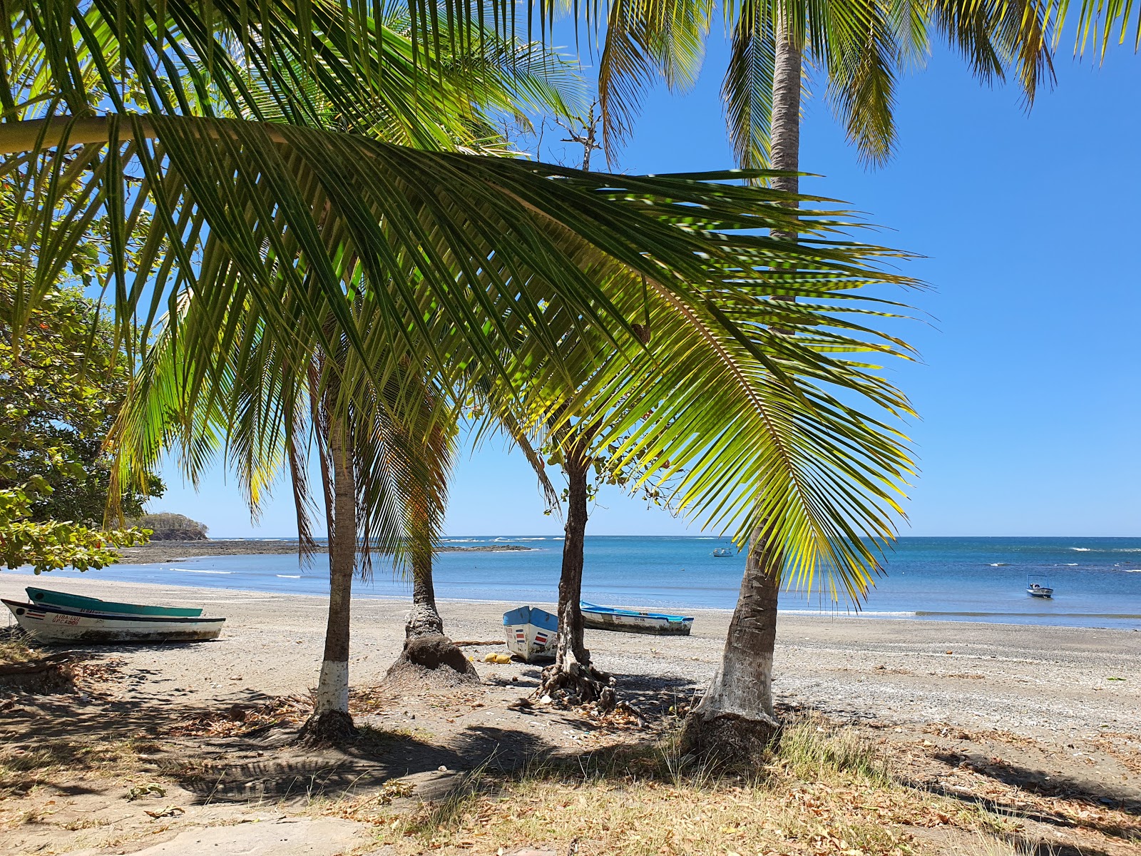 Lagarto Beach的照片 带有长直海岸