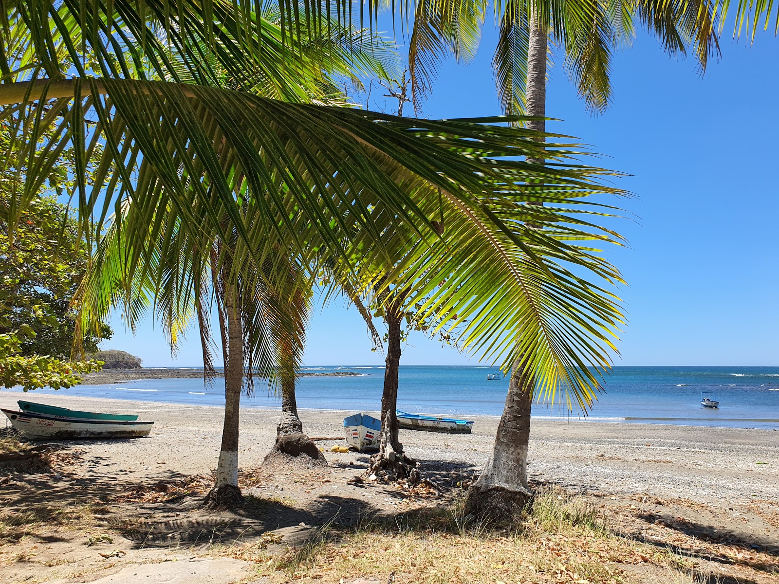 Foto von Lagarto Beach mit etwas sauber Sauberkeitsgrad