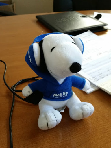 Insurance Agency «MetLife Auto & Home», reviews and photos