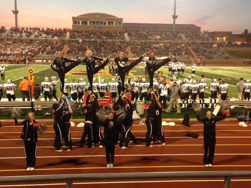 Pet Supply Store «Decadent Dogs», reviews and photos, 206 S River Ave, Holland, MI 49423, USA