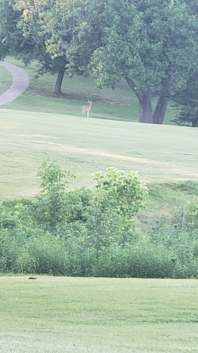 Golf Driving Range «Eastland Green Golf Course», reviews and photos, 550 Clubhouse Ln, Clarksville, TN 37043, USA