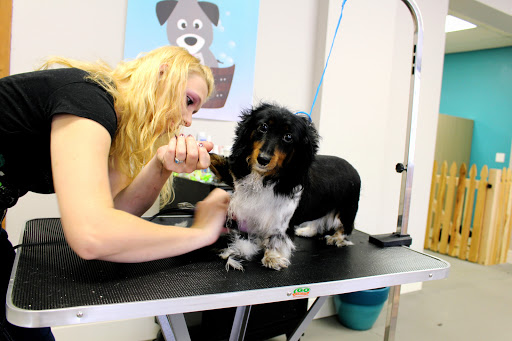 Pet Groomer «All For Paws», reviews and photos, 246 W Manson Hwy #6, Chelan, WA 98816, USA