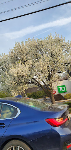 Hair Salon «Nicholas Sebastian Salon Spa», reviews and photos, 3618 Chapel Rd, Newtown Square, PA 19073, USA