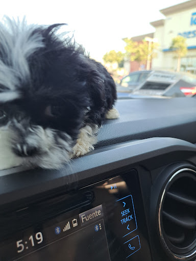 Pet Supply Store «PetSmart», reviews and photos, 2760 W 120th St, Hawthorne, CA 90250, USA