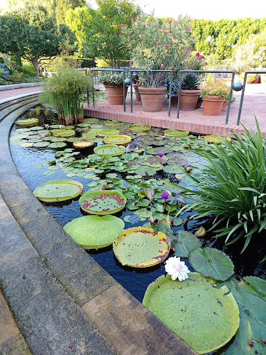 Botanical Garden «Chicago Botanic Garden», reviews and photos, 1000 Lake Cook Rd, Glencoe, IL 60022, USA