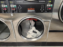 Rush Laundromat - Photo 6 - Car repair in Austin, TX, Austin