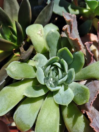 Home Improvement Store «The Home Depot», reviews and photos, 1049 Collinsville Crossing, Collinsville, IL 62234, USA