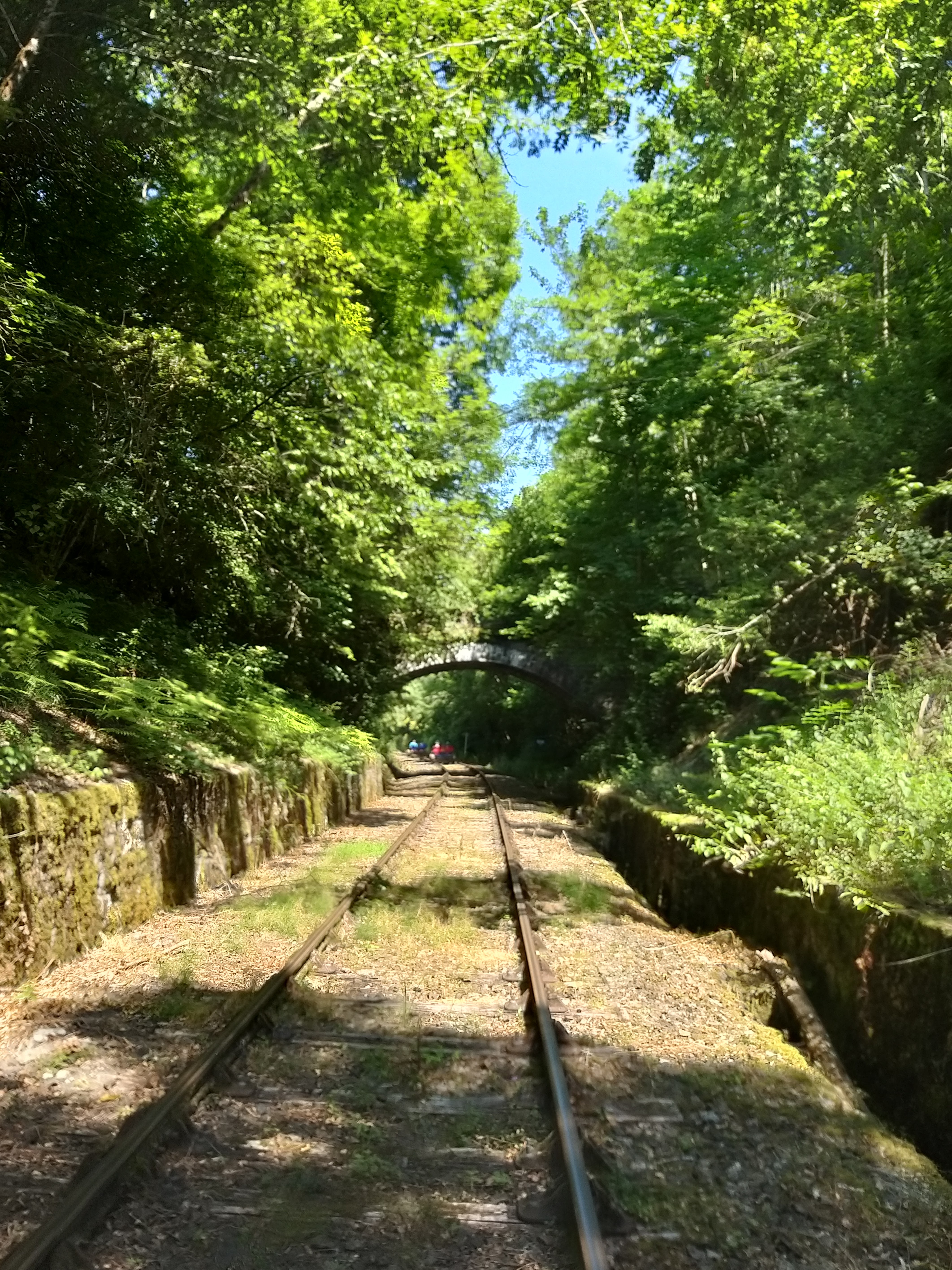 Photo n° 3 de l'avis de Frédérique.N fait le 29/07/2020 à 15:06