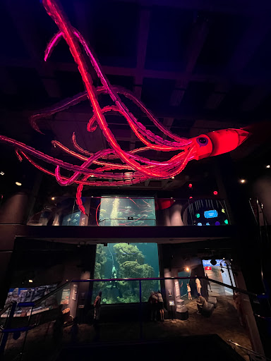 Aquarium «South Carolina Aquarium», reviews and photos, 100 Aquarium Wharf, Charleston, SC 29401, USA