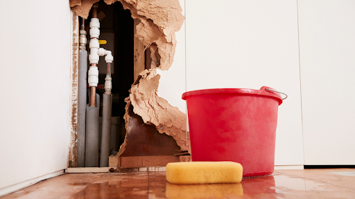 Mesa Water Damage Restoration Specialists