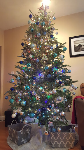 Shopping Mall «Addison Mall», reviews and photos, 2970 W Addison St, Chicago, IL 60618, USA