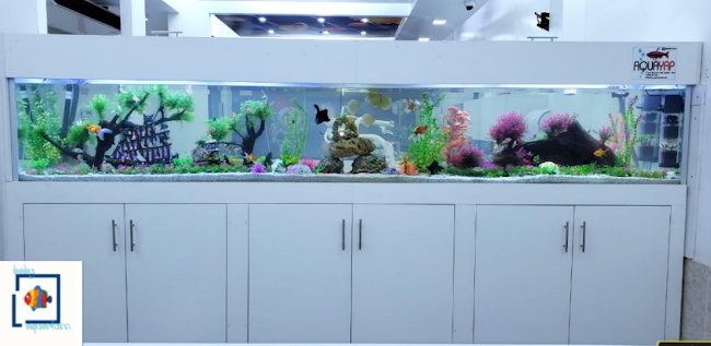 Opiniones de Baby Aquarium (acuario) en Piura - Tienda para bebés