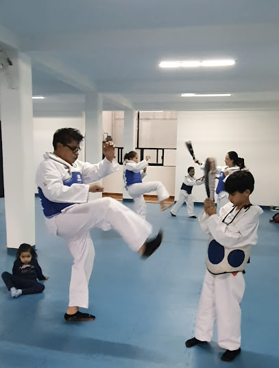 Taekwondo ILYEO