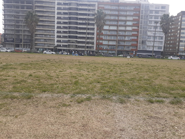 Opiniones de Club Baby Fútbol La Escalinata en Montevideo - Campo de fútbol