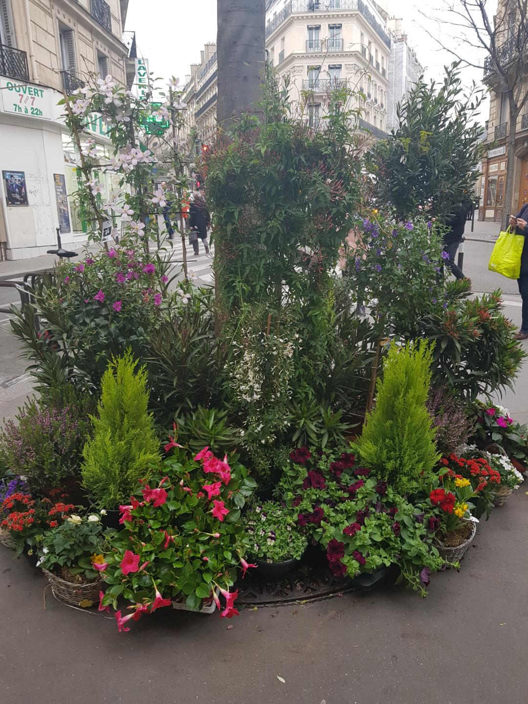 Photo n° 1 de l'avis de Patricia.A fait le 30/04/2019 à 16:16