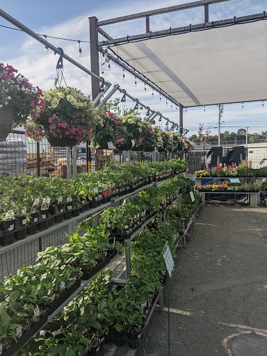 Hardware Store «Antioch Ace Hardware», reviews and photos, 501 Sunset Dr, Antioch, CA 94509, USA