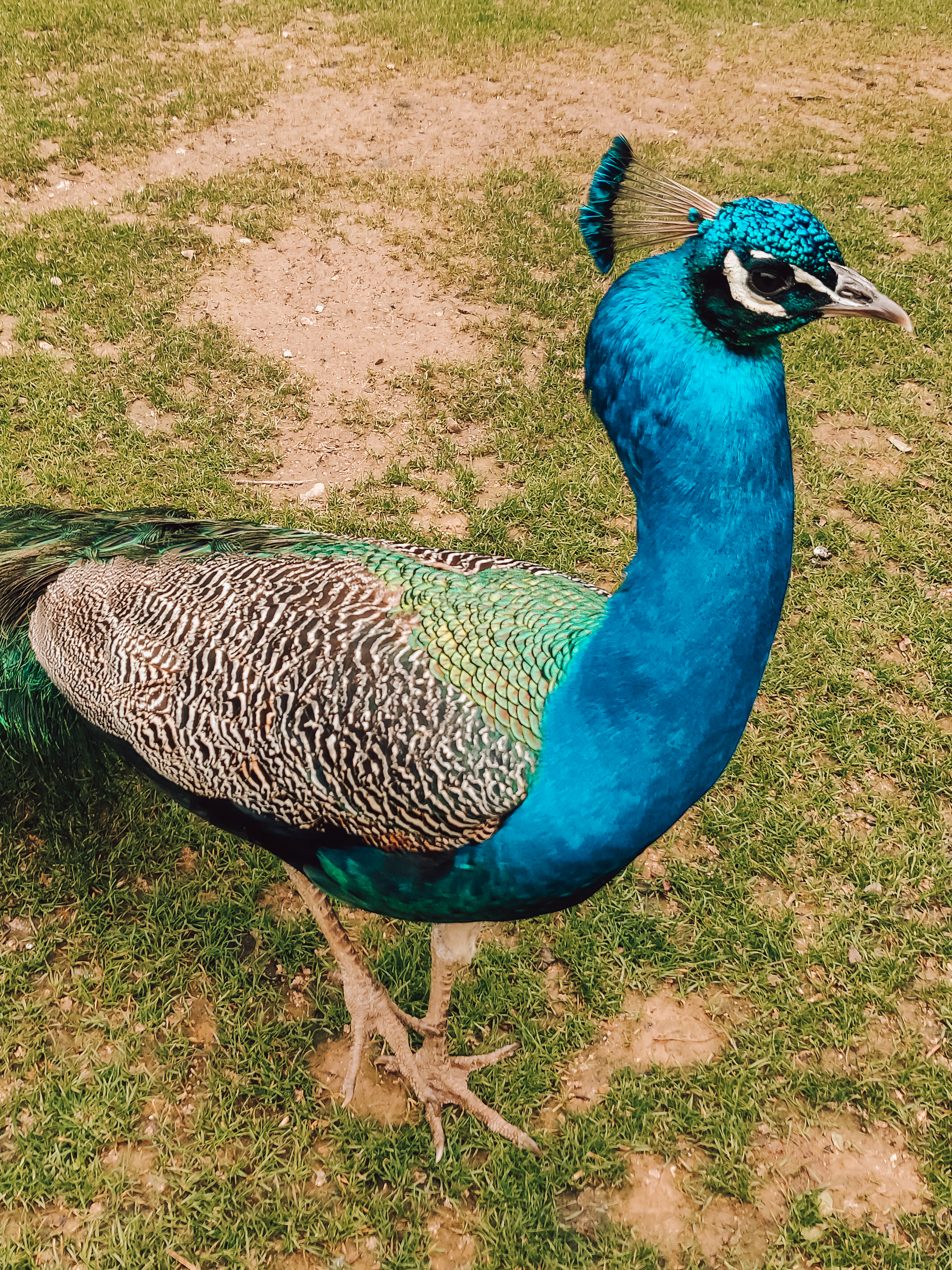 Photo n° 9 de l'avis de Chloé.b fait le 04/07/2021 à 12:42