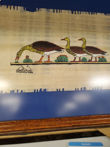 Thrift Store «48th & Baseline Goodwill Retail Store & Donation Center», reviews and photos, 2700 W Baseline Rd, Tempe, AZ 85283, USA