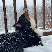 Brown, Fu & Associates - Photo 4 - Car repair in Tulsa, OK, Tulsa