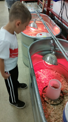 Department Store «Rural King», reviews and photos, 1000 N Main St, Marysville, OH 43040, USA