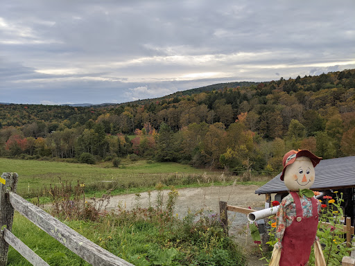 Tourist Attraction «Sugarbush Farm», reviews and photos, 591 Sugarbush Farm Rd, Woodstock, VT 05091, USA