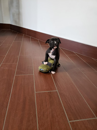 Subaru Dealer «Stanley Subaru», reviews and photos, 22 Bar Harbor Rd, Trenton, ME 04605, USA