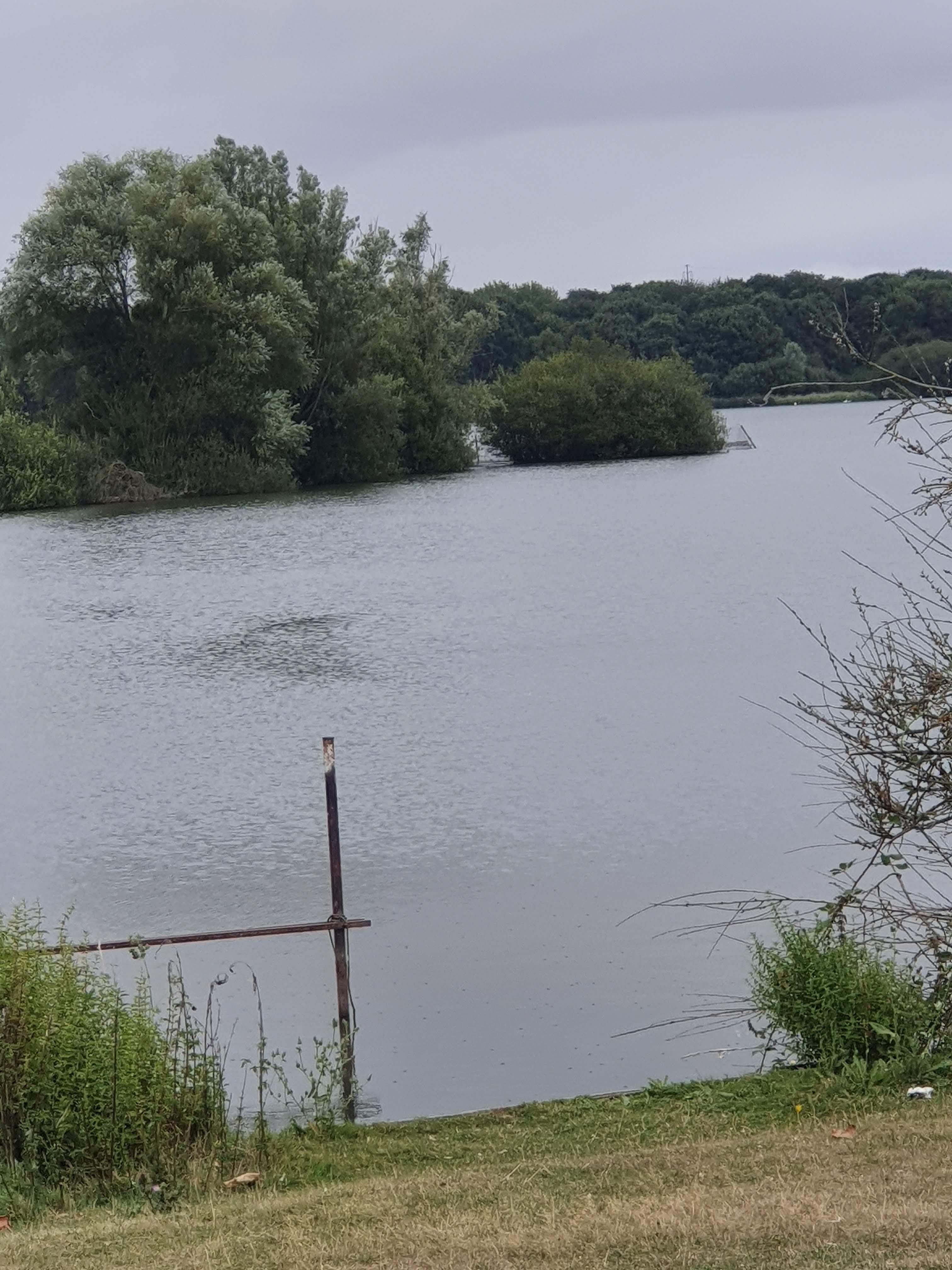 Photo n° 36 de l'avis de Liliane.o fait le 17/08/2019 à 10:37