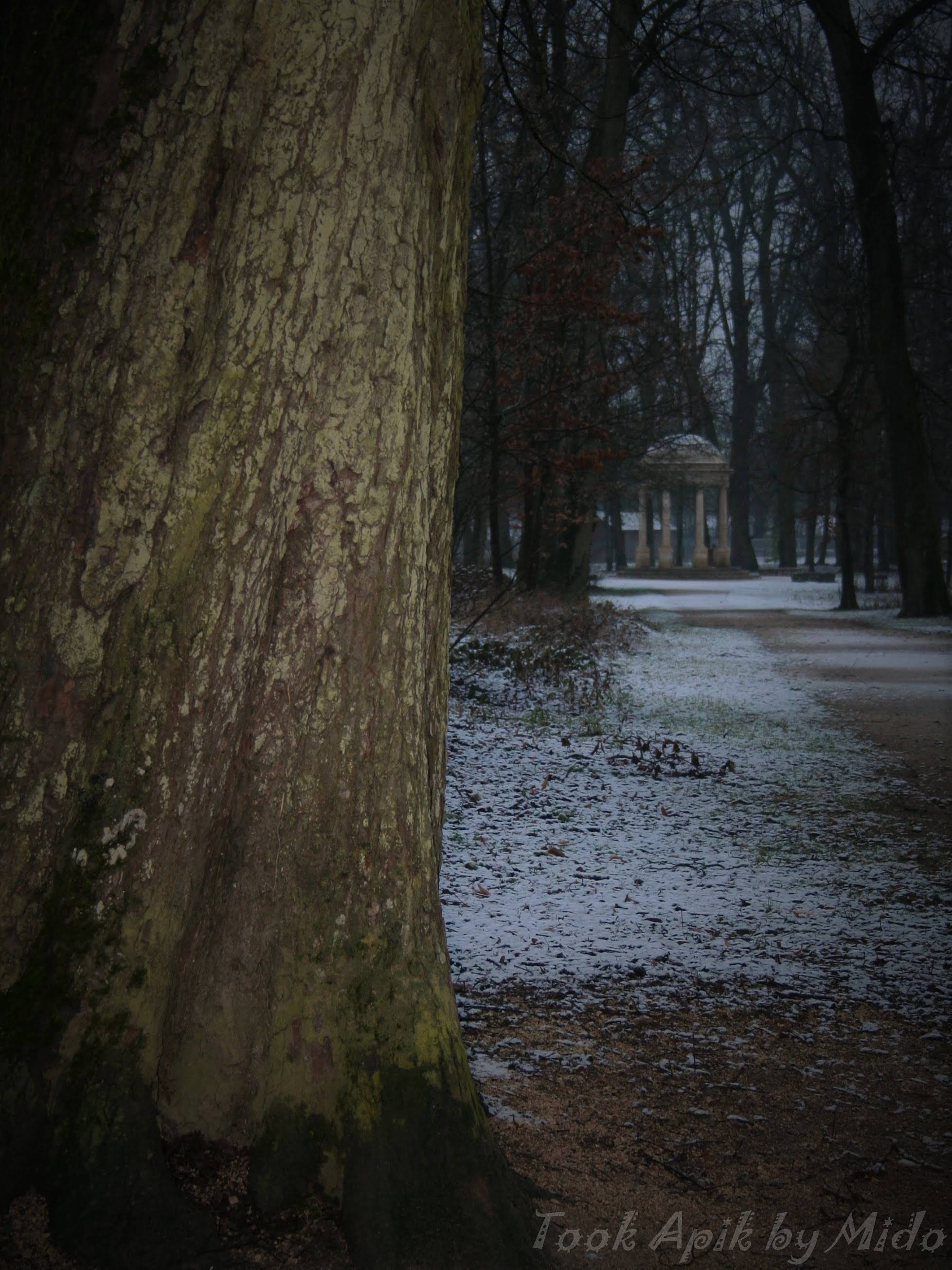 Photo n° 10 de l'avis de Mi.o fait le 26/06/2019 à 06:26