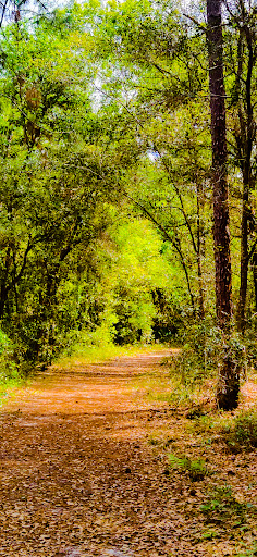 Nature Preserve «Gator Creek Reserve», reviews and photos, 9725 US Hwy 98 N, Lakeland, FL 33809, USA