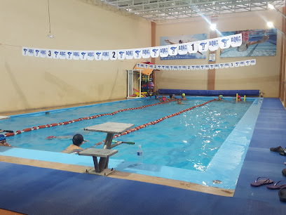 Aqua Fitness - Náhuatl 6, Cuauhtémoc, 36206 Romita, Gto., Mexico