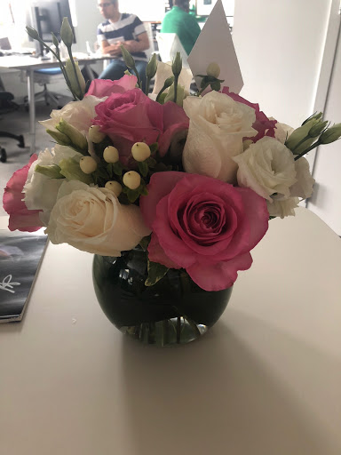 Florist «Brattle Square Florist», reviews and photos, 31 Brattle St, Cambridge, MA 02138, USA