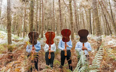 Funchal Guitar Quartet image