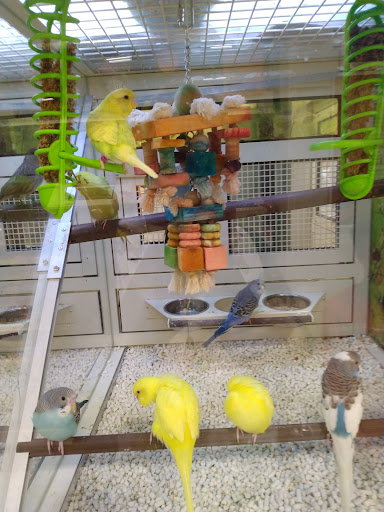 Pet Supply Store «PetSmart», reviews and photos, 73 RHL Blvd, South Charleston, WV 25309, USA