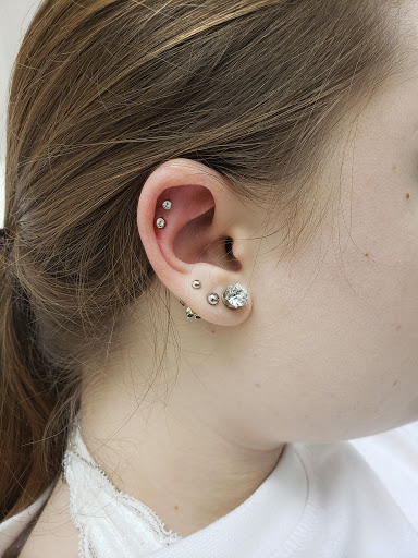 Body Piercing Shop «Skin Gallery Tattooing & Body Piercing», reviews and photos, 1402 Ogden Ave, Downers Grove, IL 60515, USA